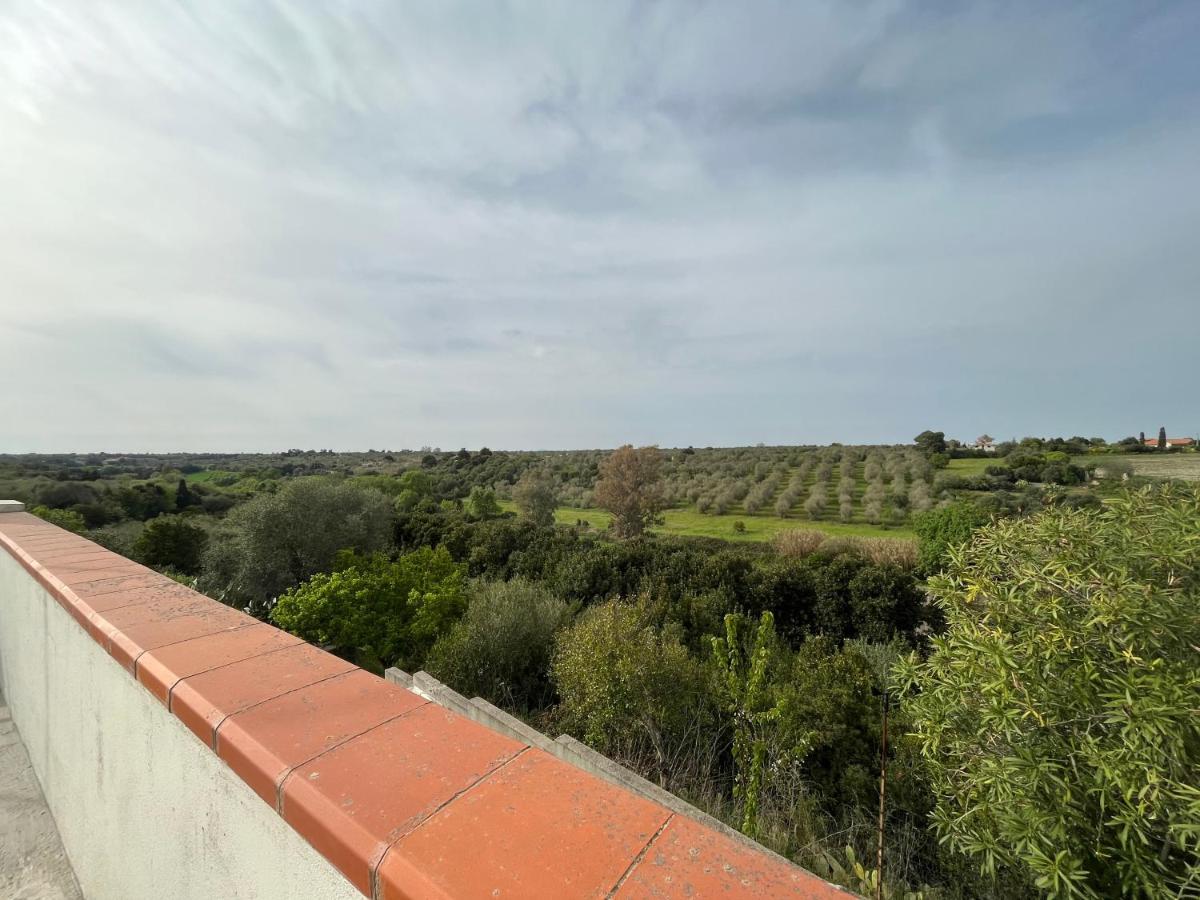 Villa Speranza - Silenzio & Natura ساساري المظهر الخارجي الصورة